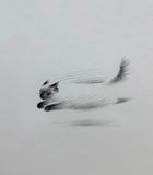 Sonic Paws – Charcoal Gesture Tee