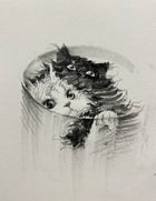 Cozy Duality – Monochrome Cat Tee