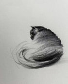 "Playful Cat" Sketch Art Graphic Tee